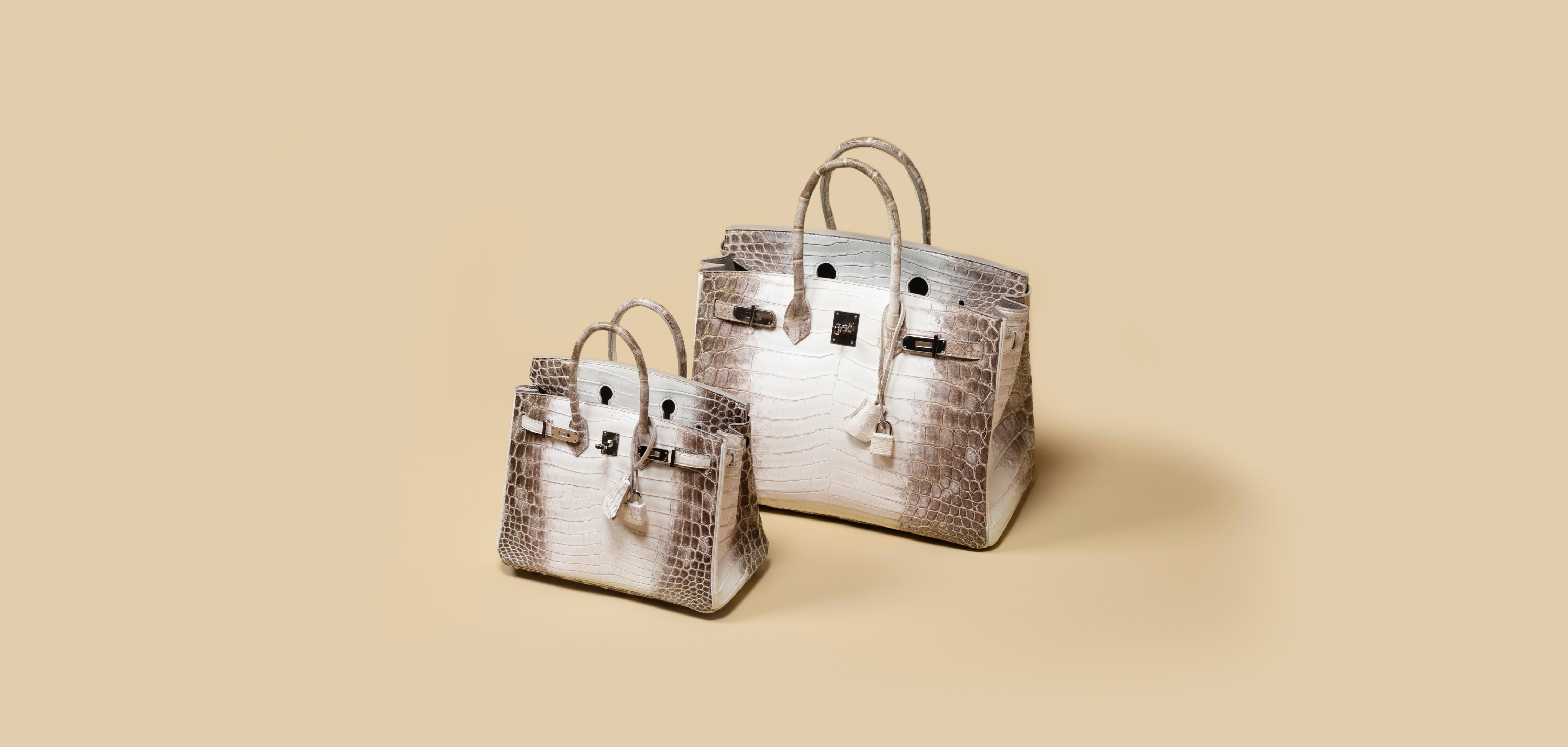 Unveiling the Enigma of the Hermes Himalaya Birkin