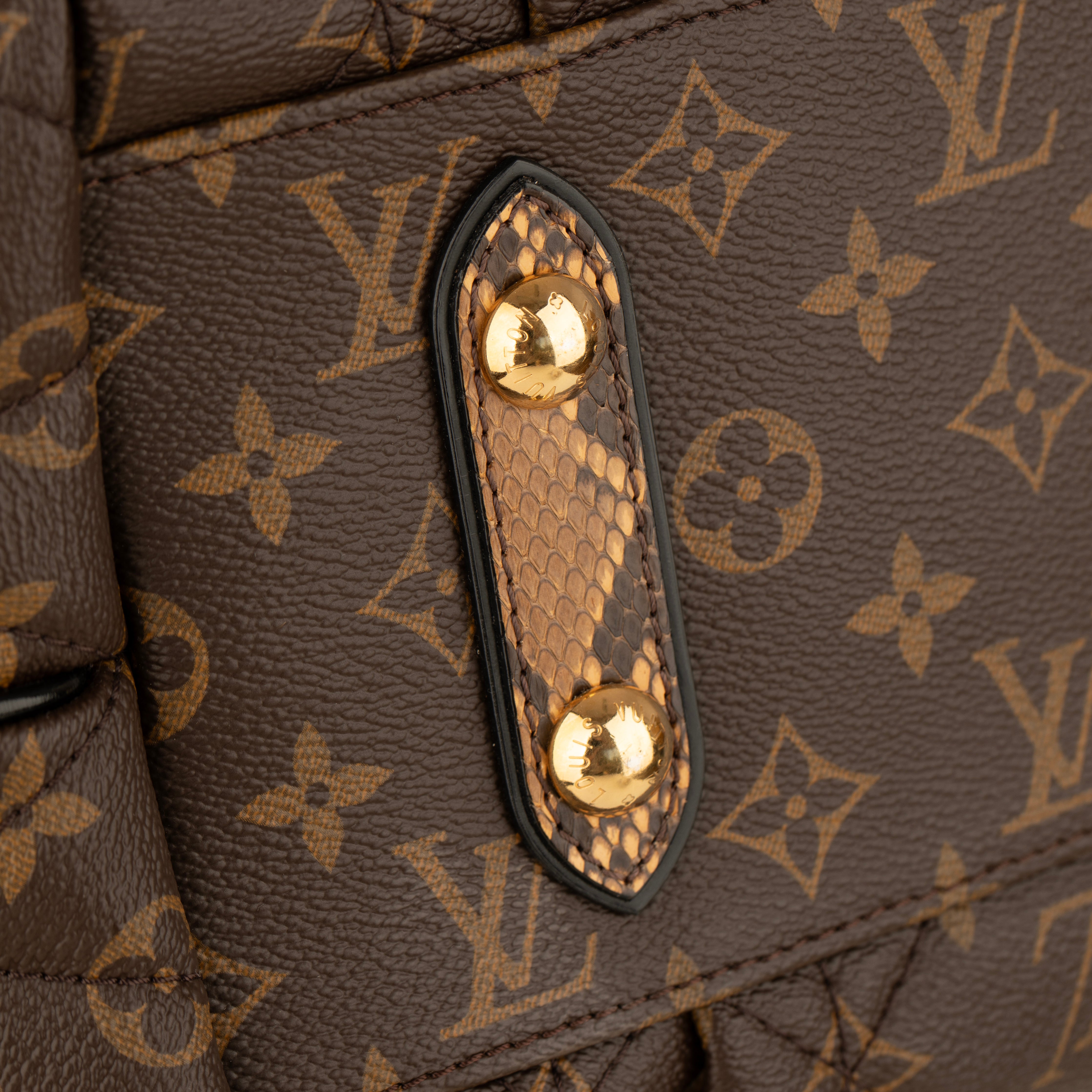 Louis Vuitton Monogram Canvas Limited Edition Etoile Exotique GM Handbag