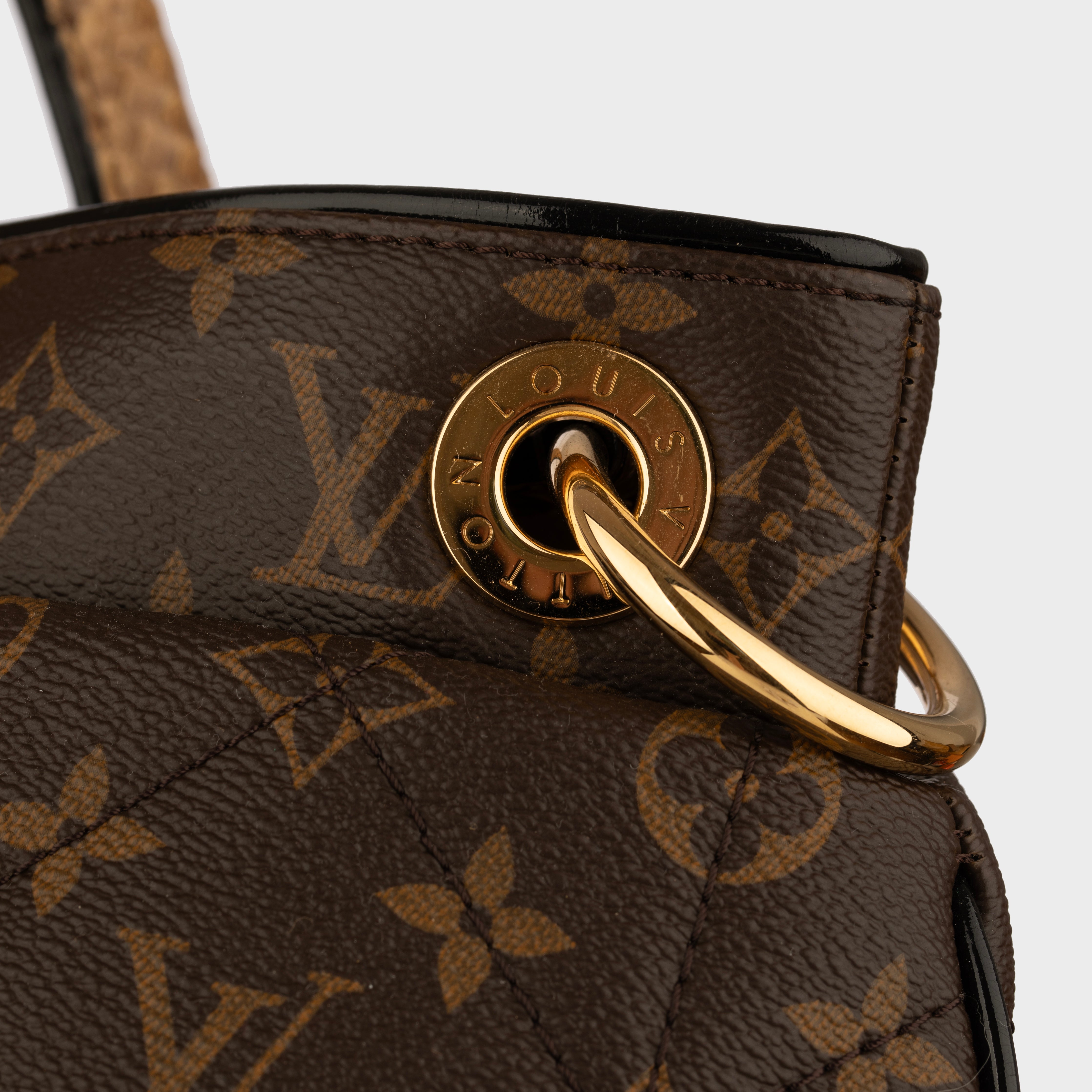 Louis Vuitton Monogram Canvas Limited Edition Etoile Exotique GM Handbag