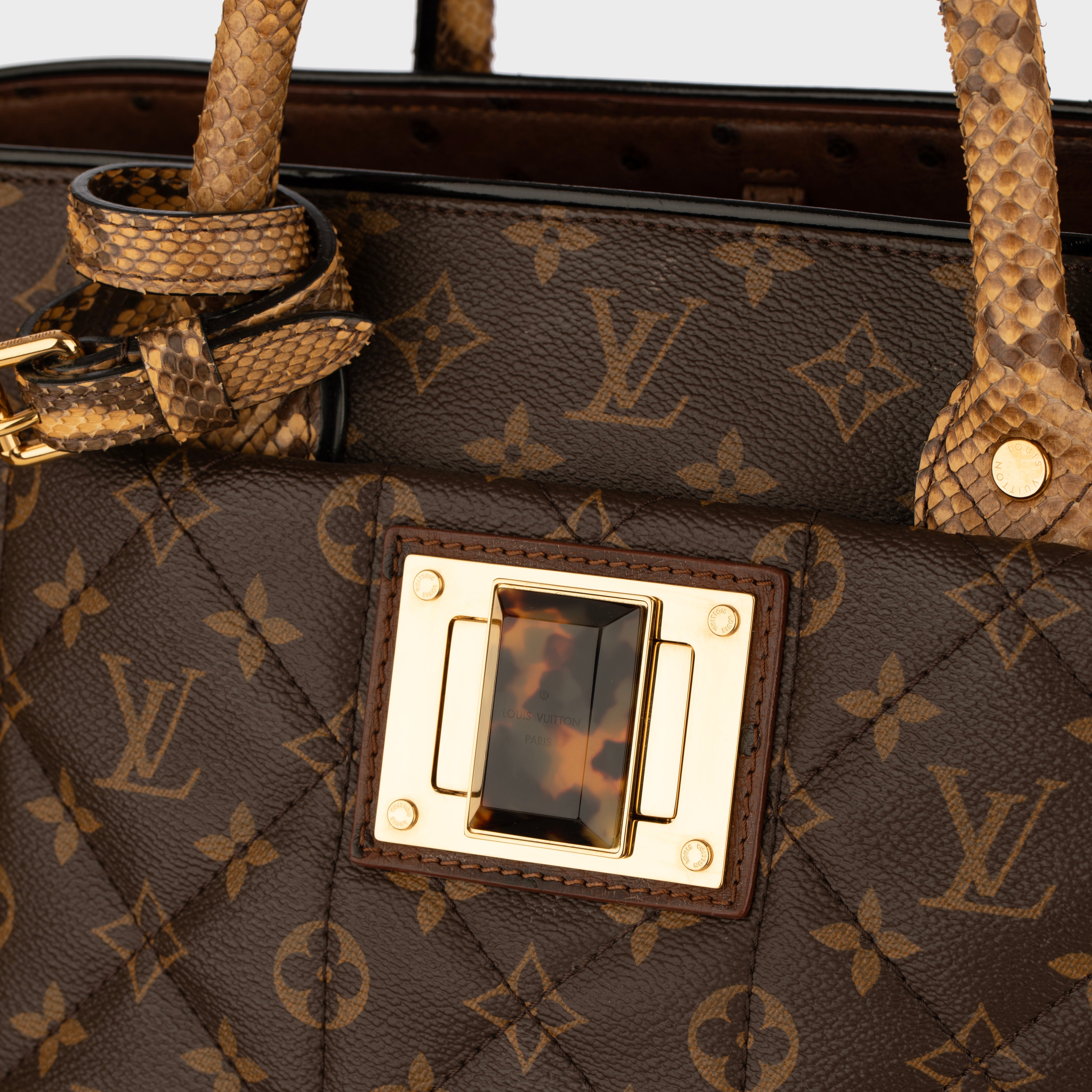Louis Vuitton Monogram Canvas Limited Edition Etoile Exotique GM Handbag