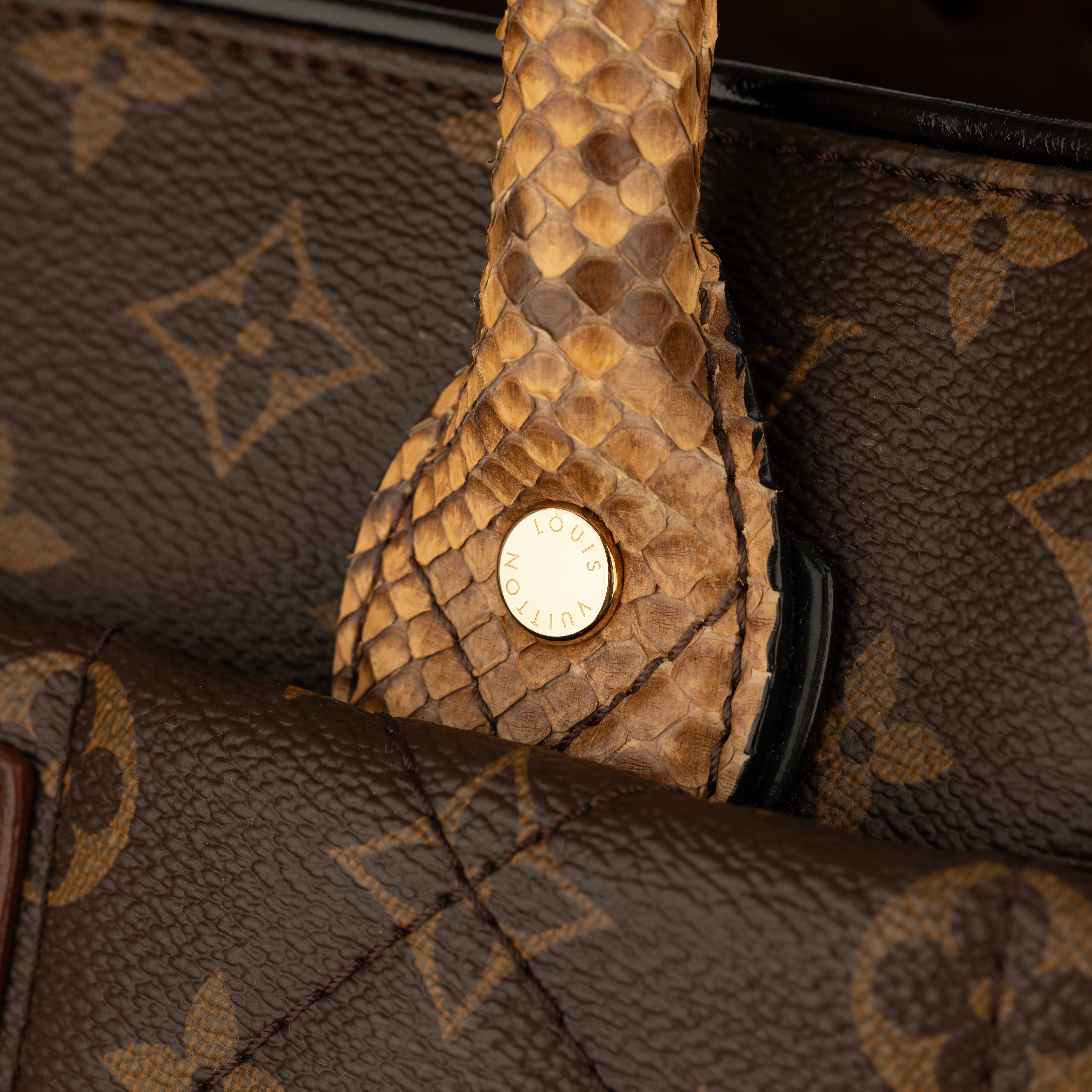 Louis Vuitton Monogram Canvas Limited Edition Etoile Exotique GM Handbag