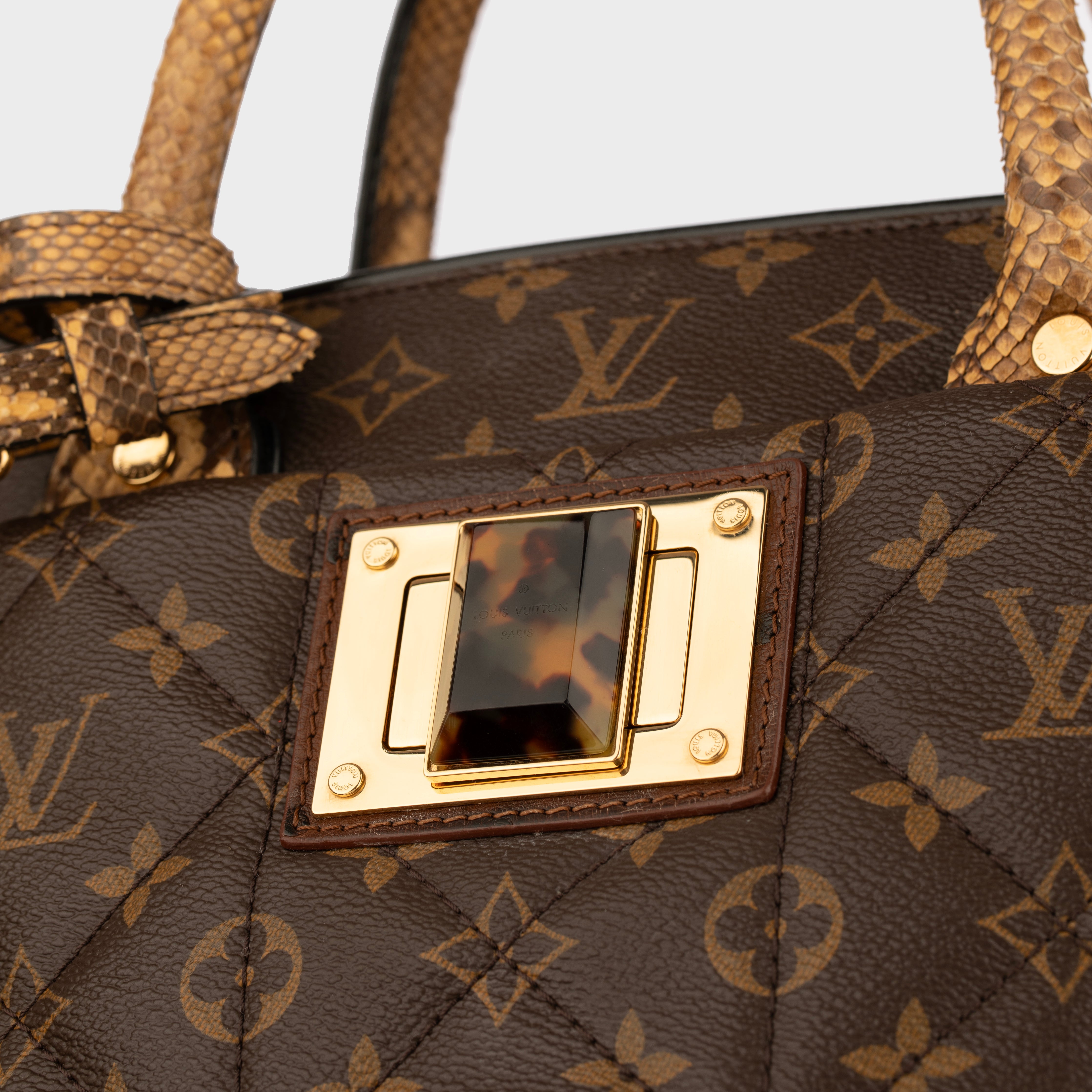 Louis Vuitton Monogram Canvas Limited Edition Etoile Exotique GM Handbag