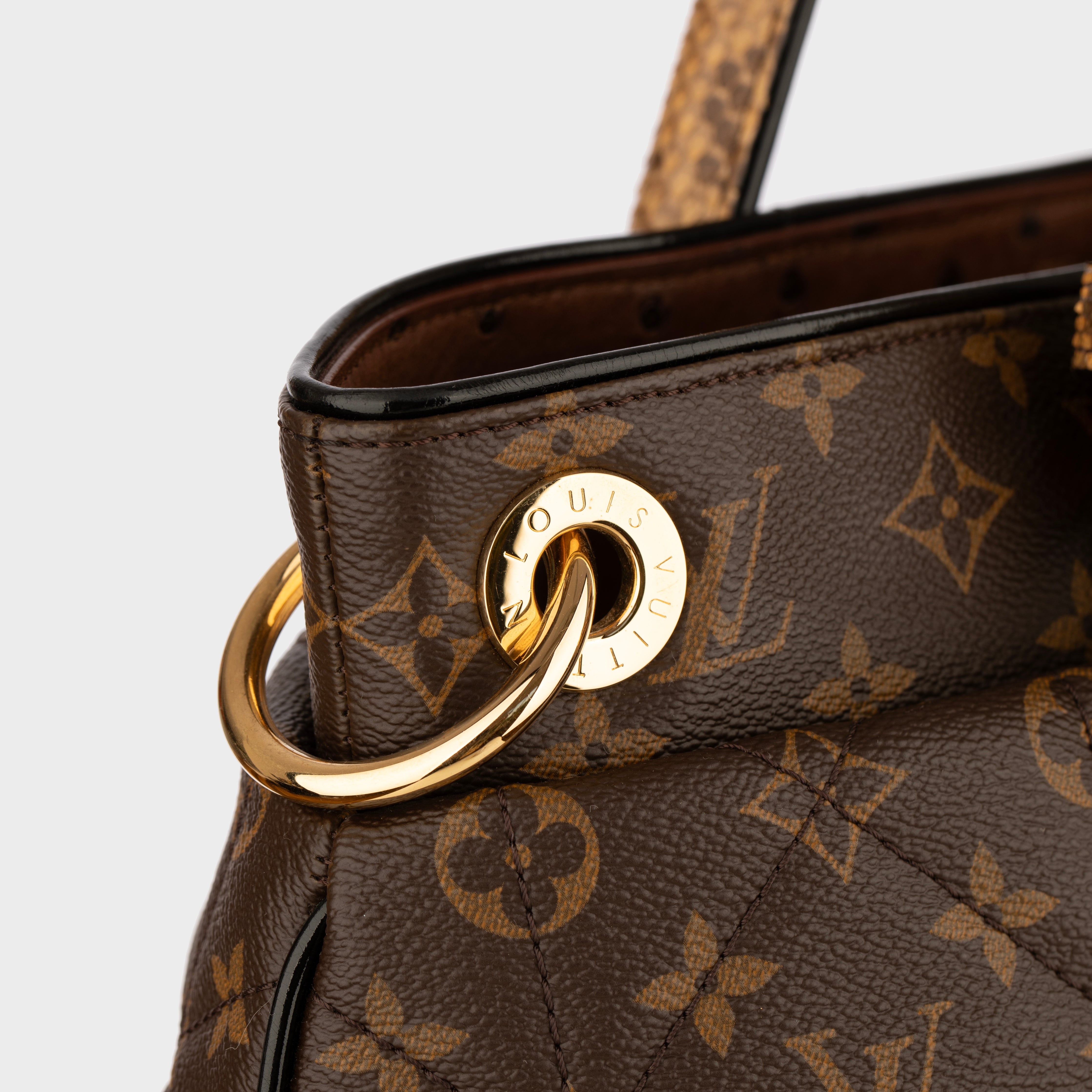 Louis Vuitton Monogram Canvas Limited Edition Etoile Exotique GM Handbag