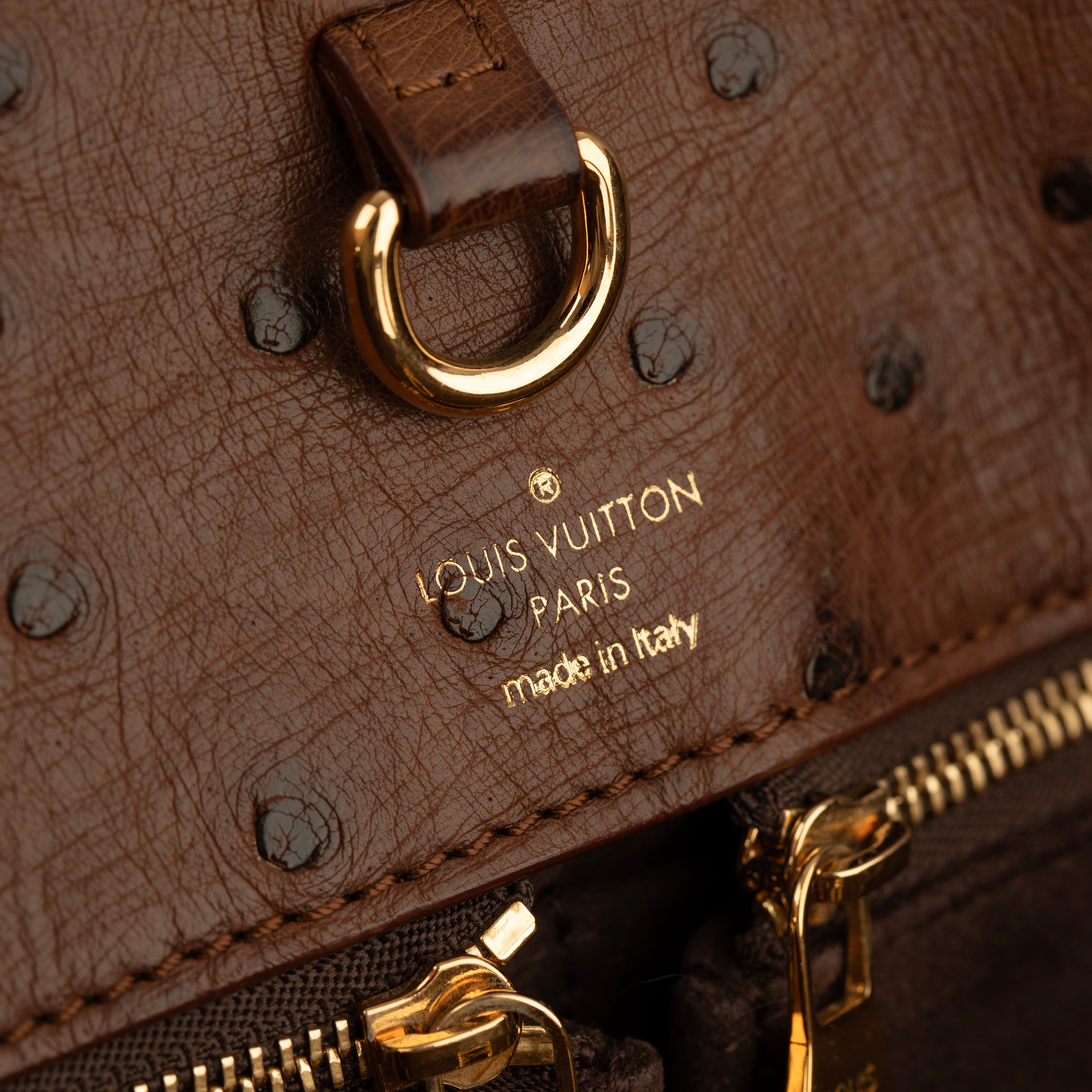 Louis Vuitton Monogram Canvas Limited Edition Etoile Exotique GM Handbag