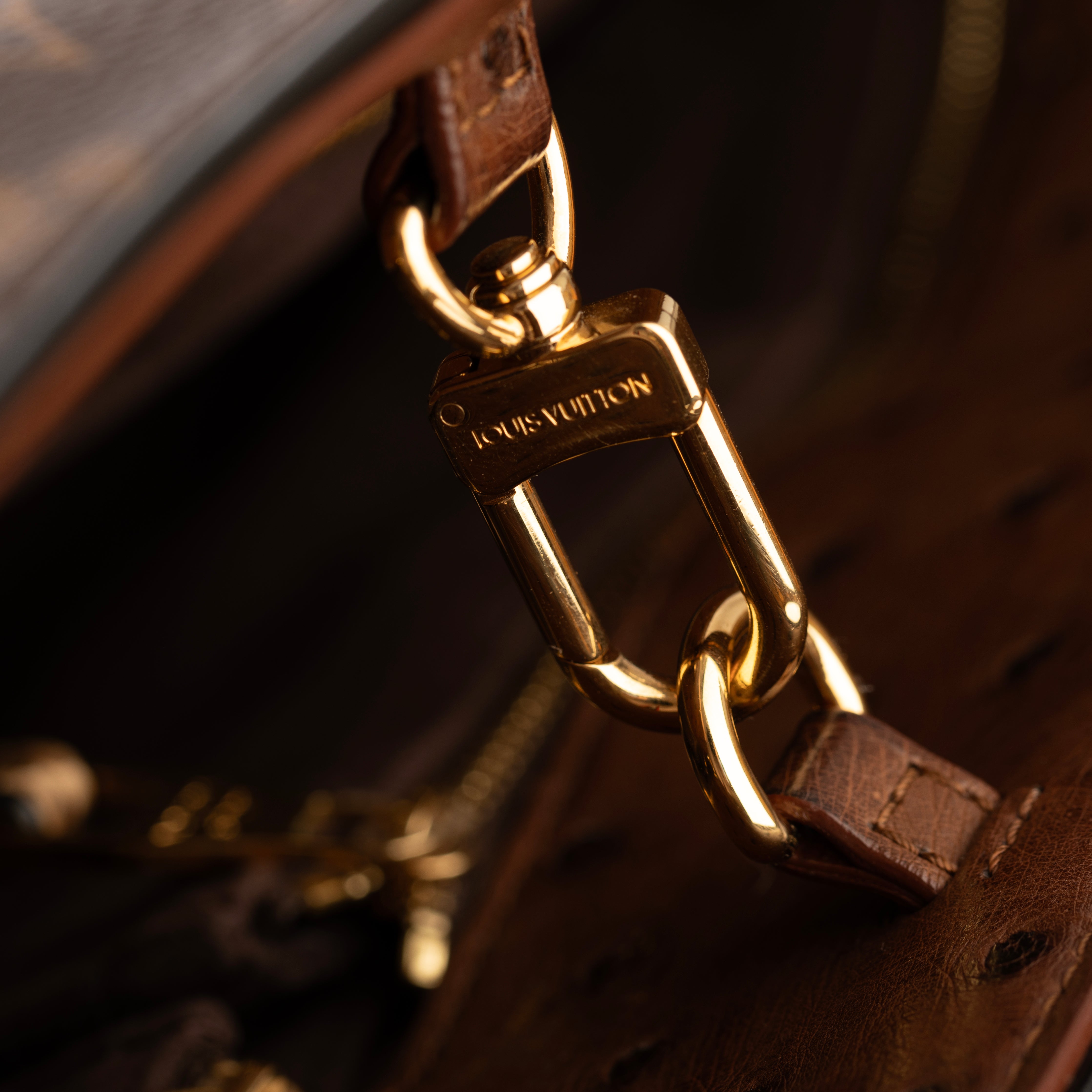 Louis Vuitton Monogram Canvas Limited Edition Etoile Exotique GM Handbag