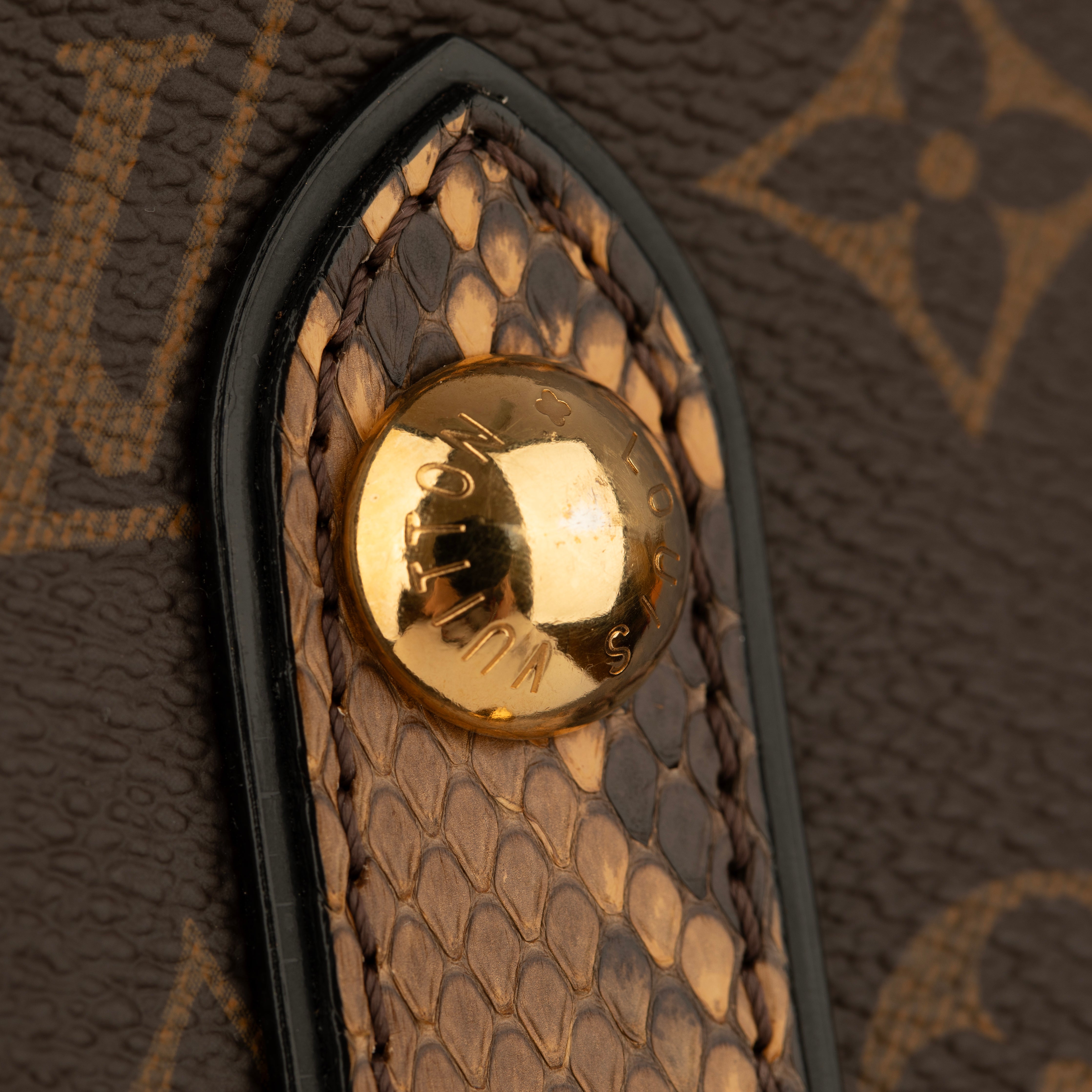 Louis Vuitton Monogram Canvas Limited Edition Etoile Exotique GM Handbag