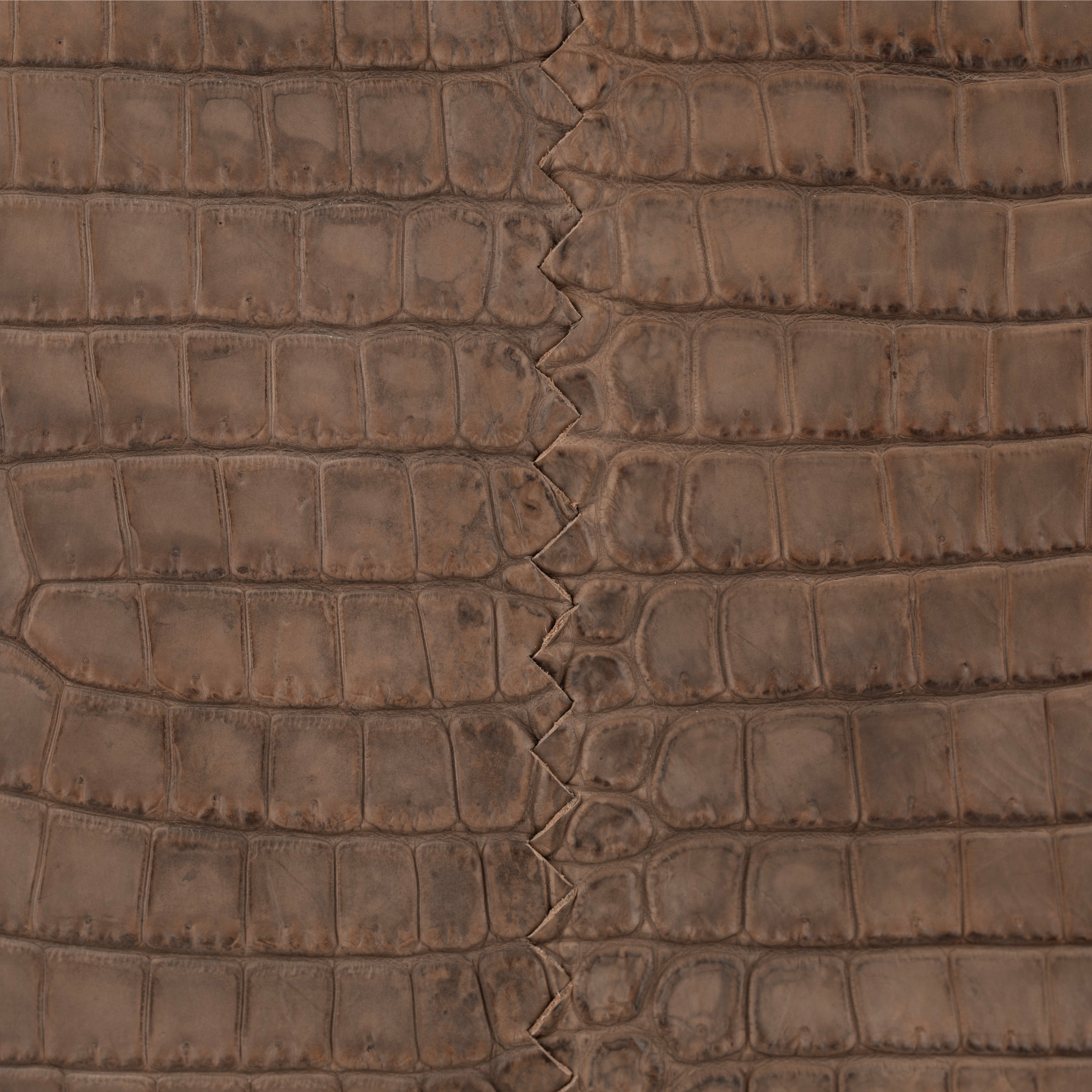 Bottega Veneta Matte Brown Crocodile Top Handle Tote Weekender