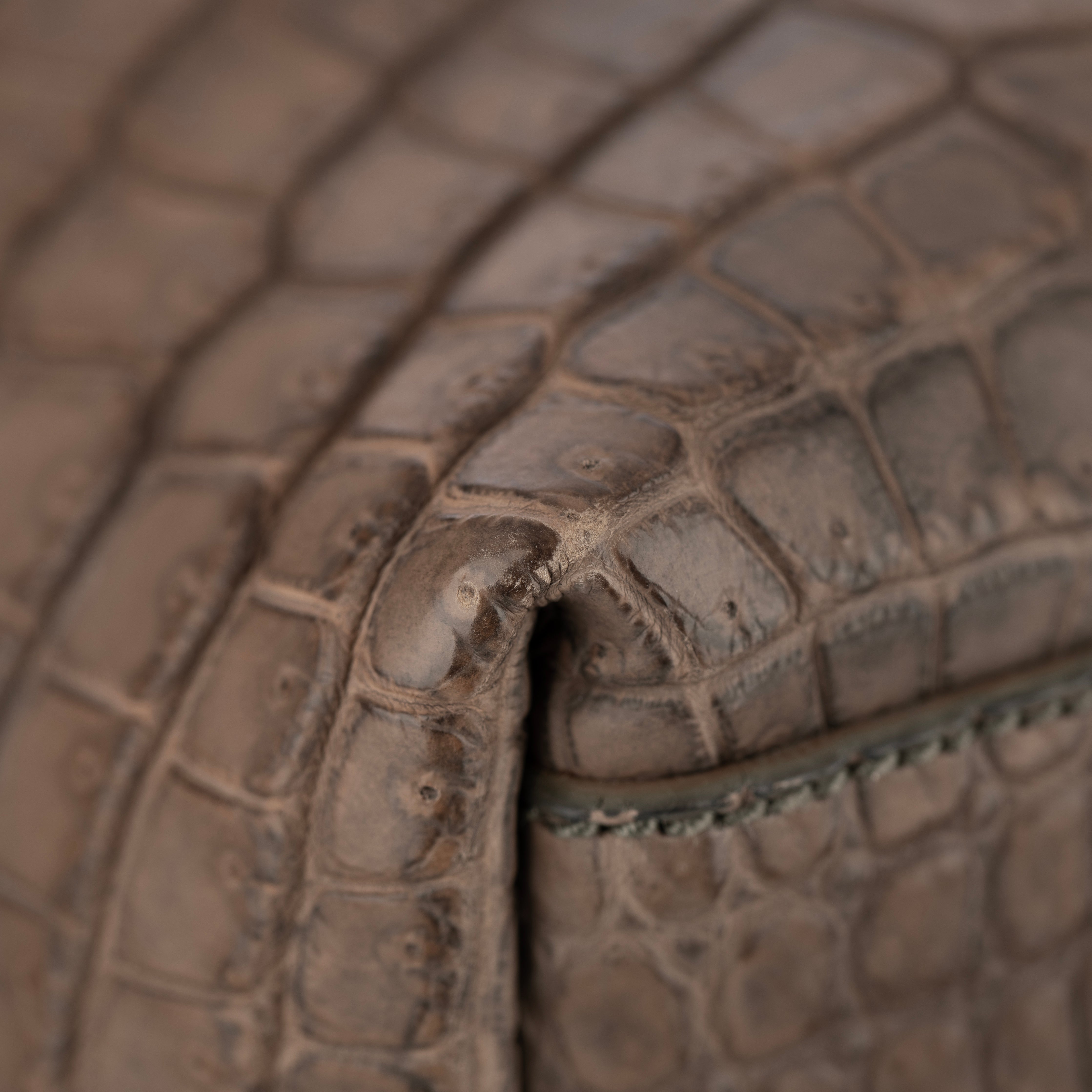 Bottega Veneta Matte Brown Crocodile Top Handle Tote Weekender