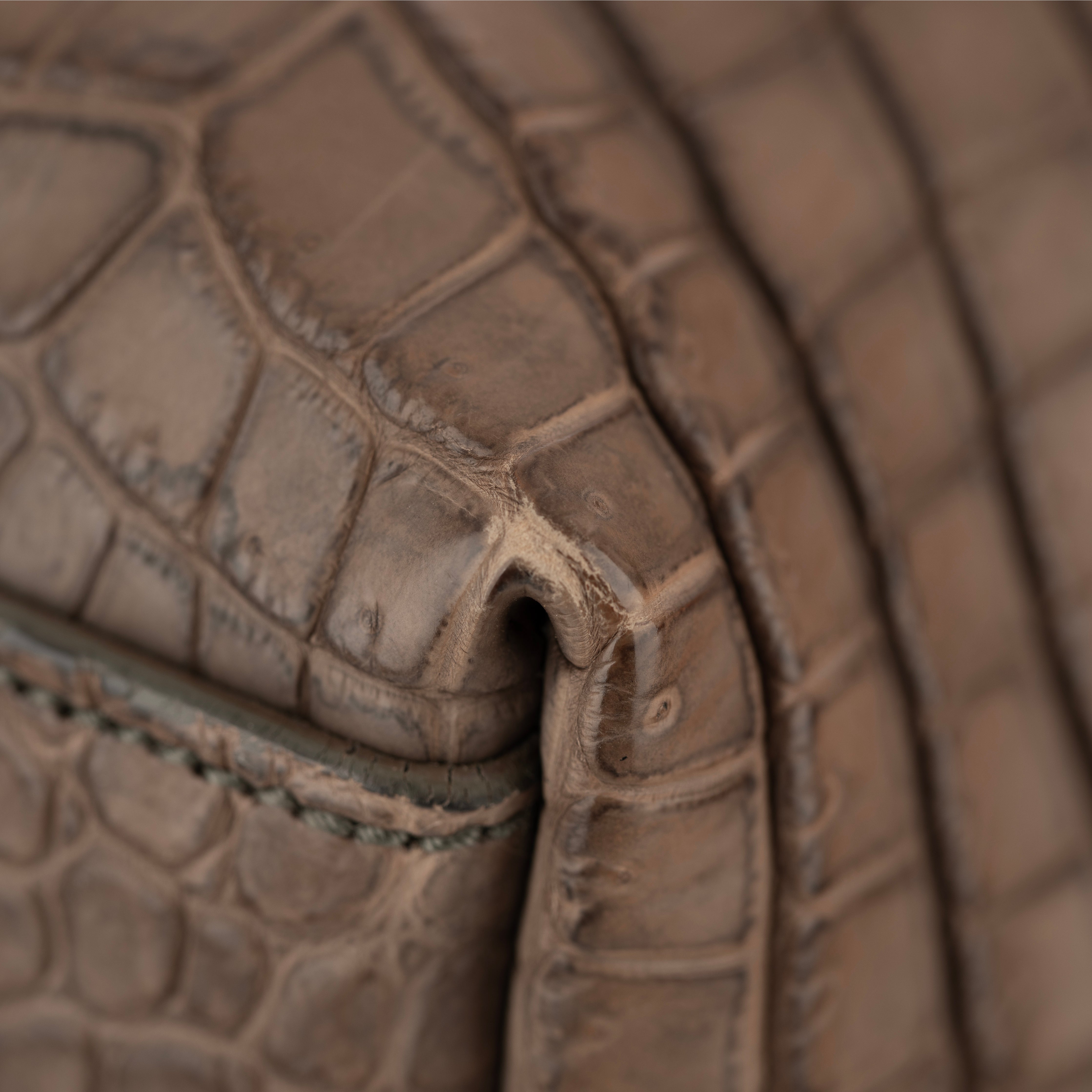 Bottega Veneta Matte Brown Crocodile Top Handle Tote Weekender