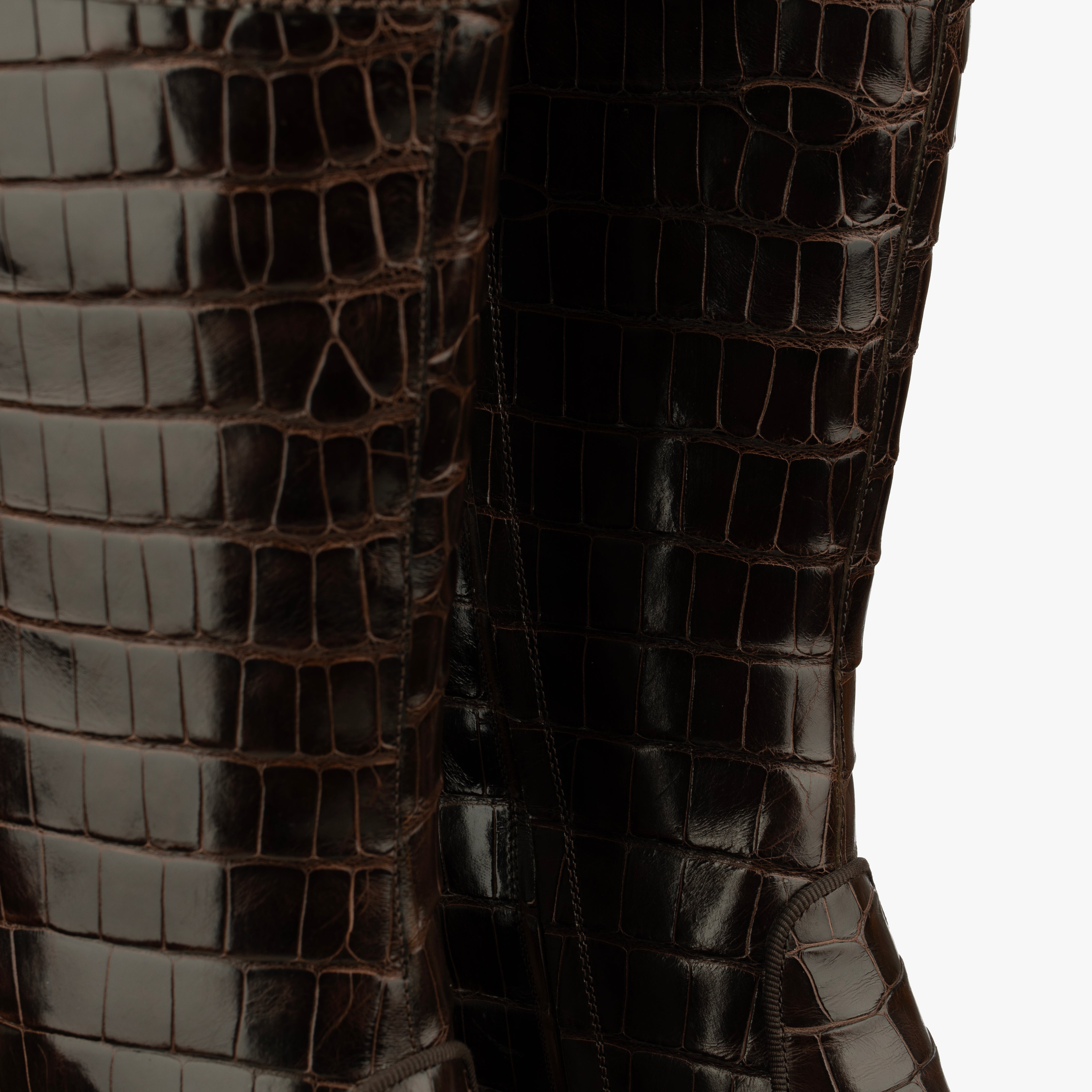 Sergio Rossi Brown Crocodile Leather Knee High Boots With Silver Details - Size | 39 IT